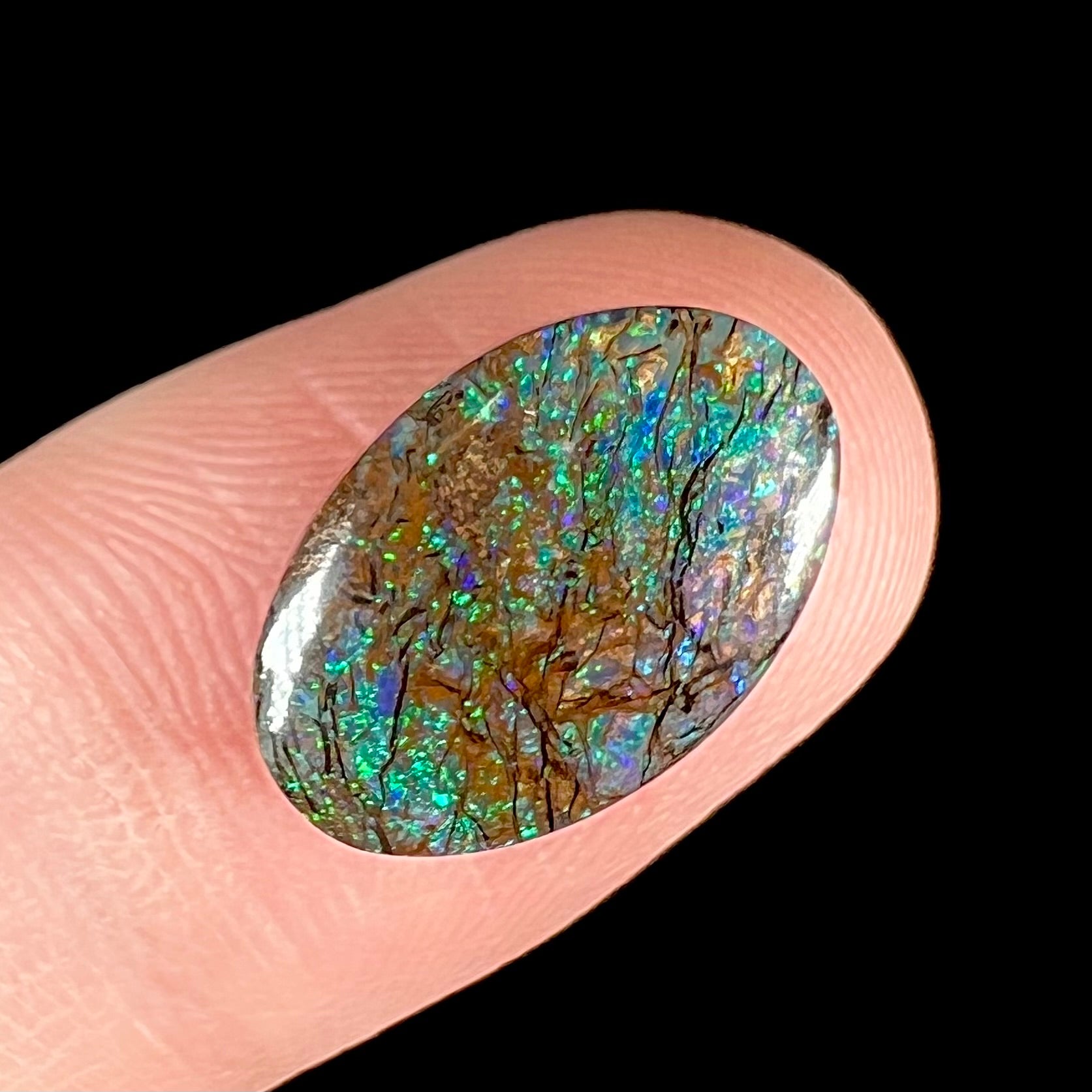 A loose, oval cabochon cut matrix boulder opal stone from Koroit, Australia.  The opal shines with green and blue colors.