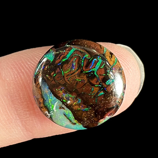 8.95ct Koroit Boulder Matrix Opal | #E127