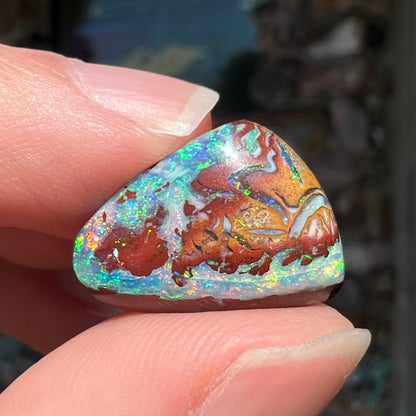 A polished matrix opal stone from Koroit, Australia.  The opal has a blue color.