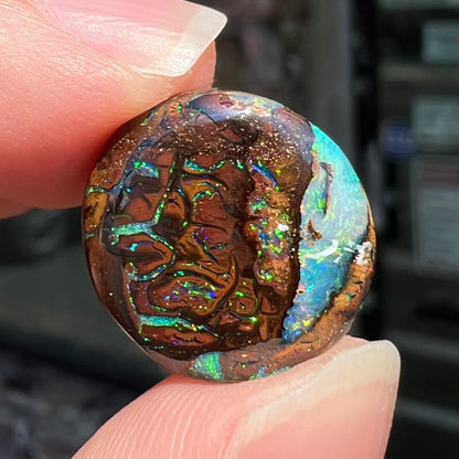 8.95ct Koroit Boulder Matrix Opal | #E127