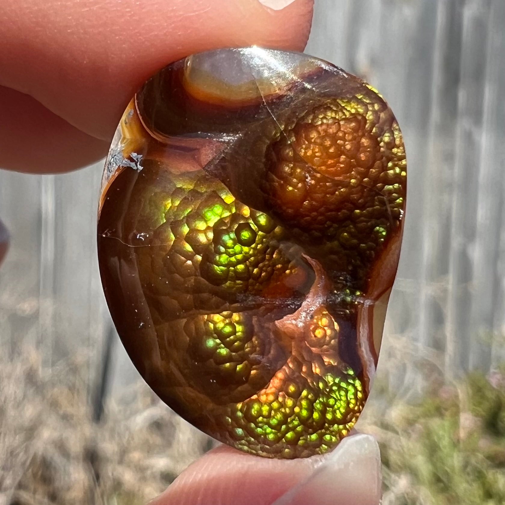 A large Mexican fire agate cabochon.  The stone has a bubbly green pattern.