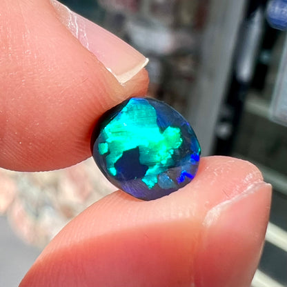 A loose black opal stone from Lightning Ridge, Australia.  The opal shines blue and green colors.