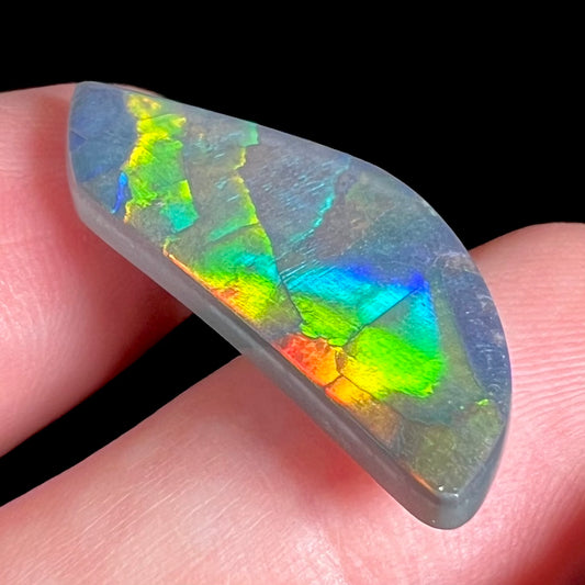 A loose black opal stone from Lightning Ridge, Australia.  The opal's color plays from one particular direction.