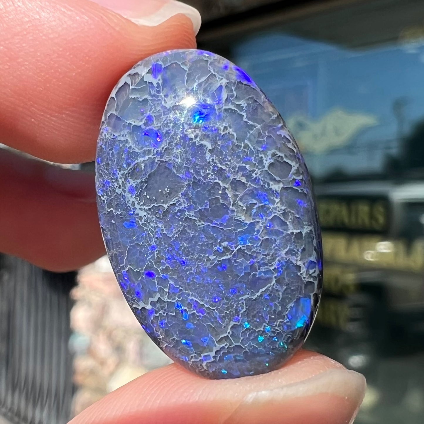 A loose, oval cabochon cut black opal from Lightning Ridge, Australia that weighs 13.09 carats.  The opal is blue.