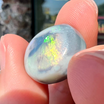 A round cabochon cut Lightning Ridge opal stone that has a picture of a bird of paradise.