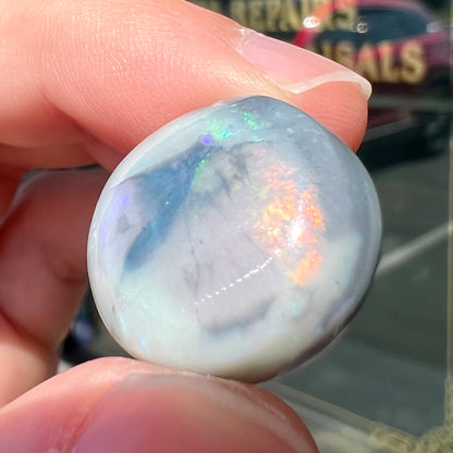 A round cabochon cut Lightning Ridge opal stone that has a picture of a bird of paradise.