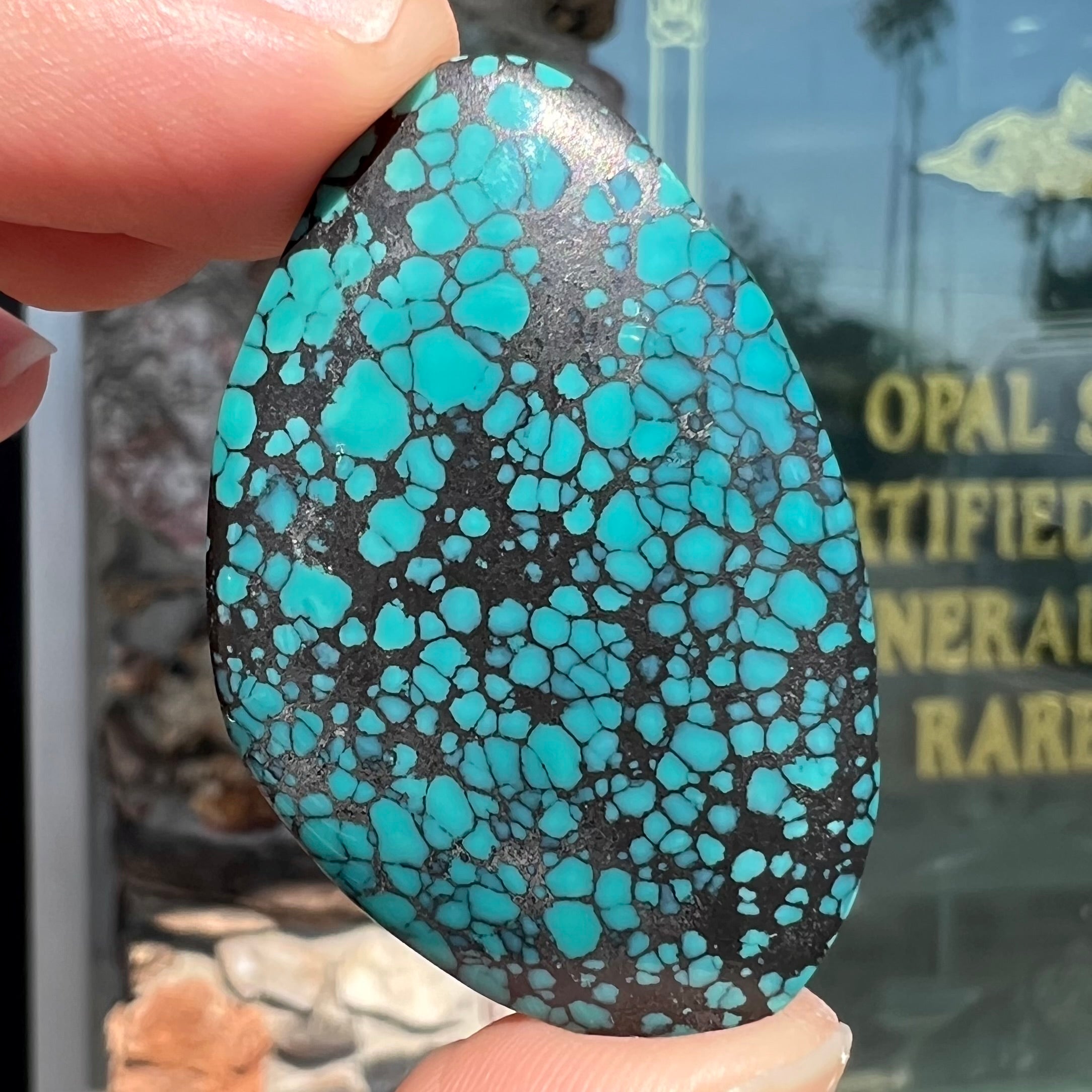 34.70ct Lone Mountain Spiderweb Turquoise, Freeform Cabochon | Sku No. 818