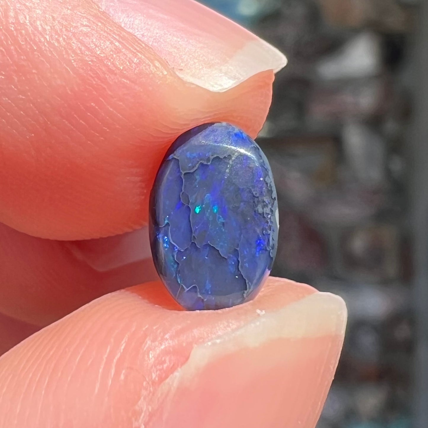 A loose, oval cabochon cut black opal stone from Lightning Ridge, Australia.  The opal has blue color play.