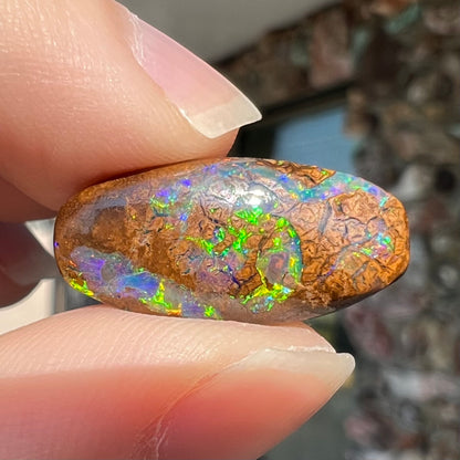 11.65ct Koroit Boulder Matrix Opal | #E202