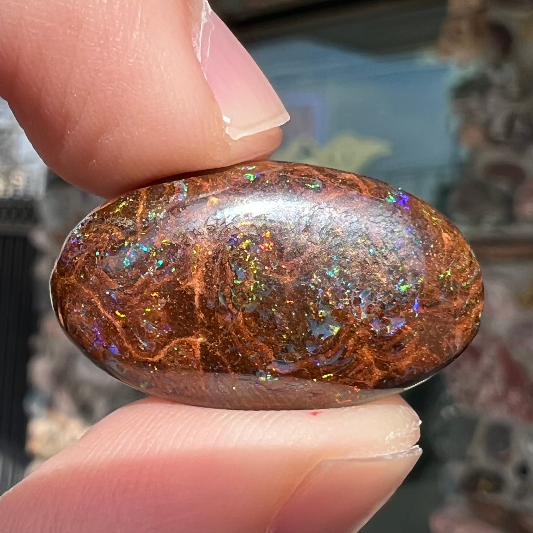 An oval cabochon cut boulder opal stone with green, blue, purple, and red play of color.