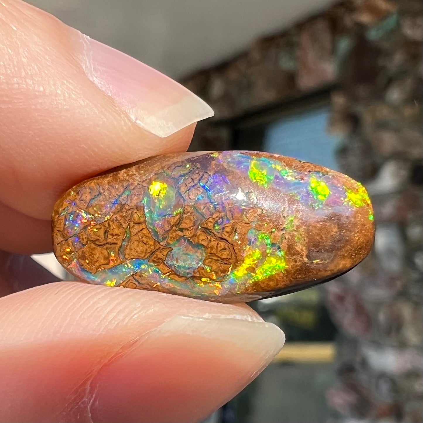 11.65ct Koroit Boulder Matrix Opal | #E202