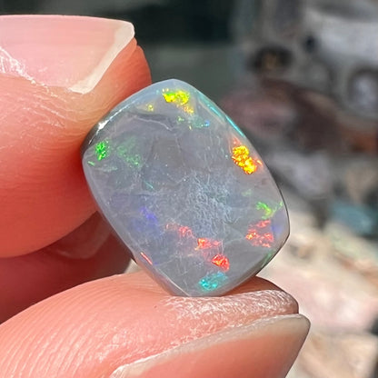 A loose, cushion cut black opal stone.  The stone plays colors of red, green, blue, and purple.