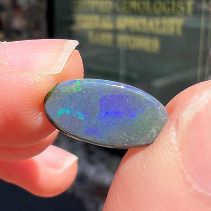 A loose, oval cut black opal stone from Lightning Ridge, Australia.  The opal plays with green and blue fire.