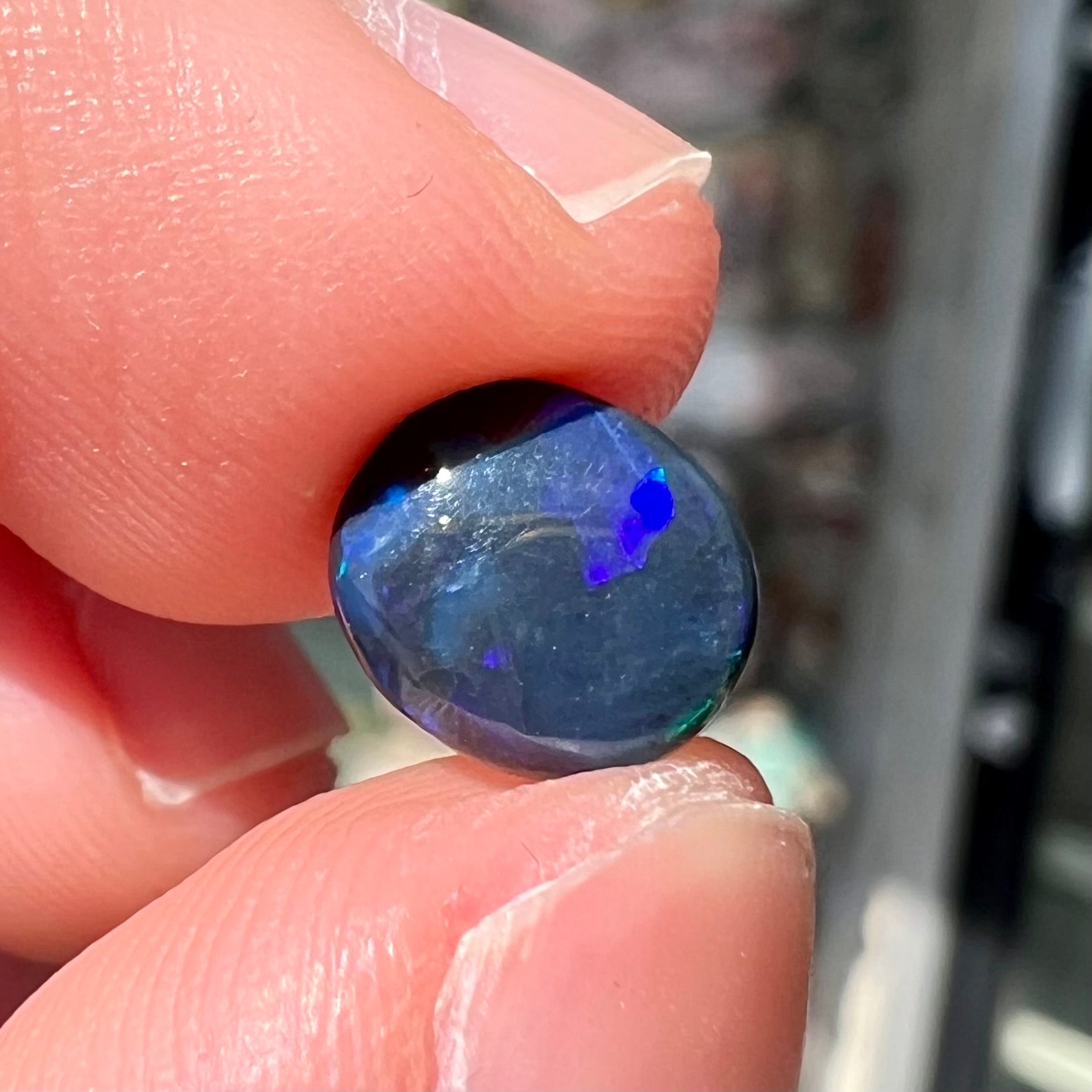 A loose black opal stone from Lightning Ridge, Australia.  The opal shines blue and green colors.