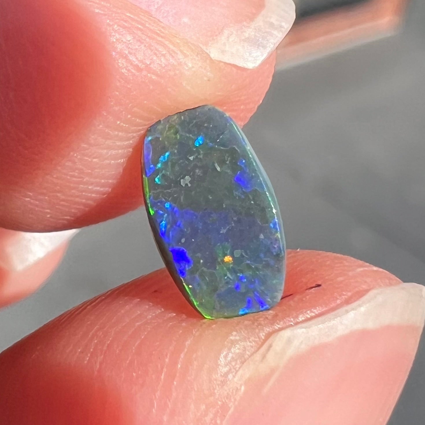 A loose, barrel shaped black opal stone from Lightning Ridge, Australia.