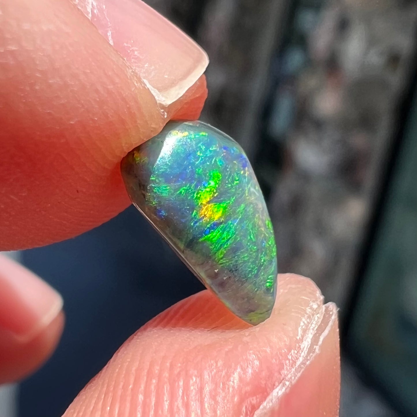 A black opal gemstone from Lightning Ridge, Australia.  The opal is a freeform cut.