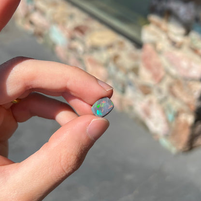 A loose, cushion cut black opal stone.  The stone plays colors of red, green, blue, and purple.