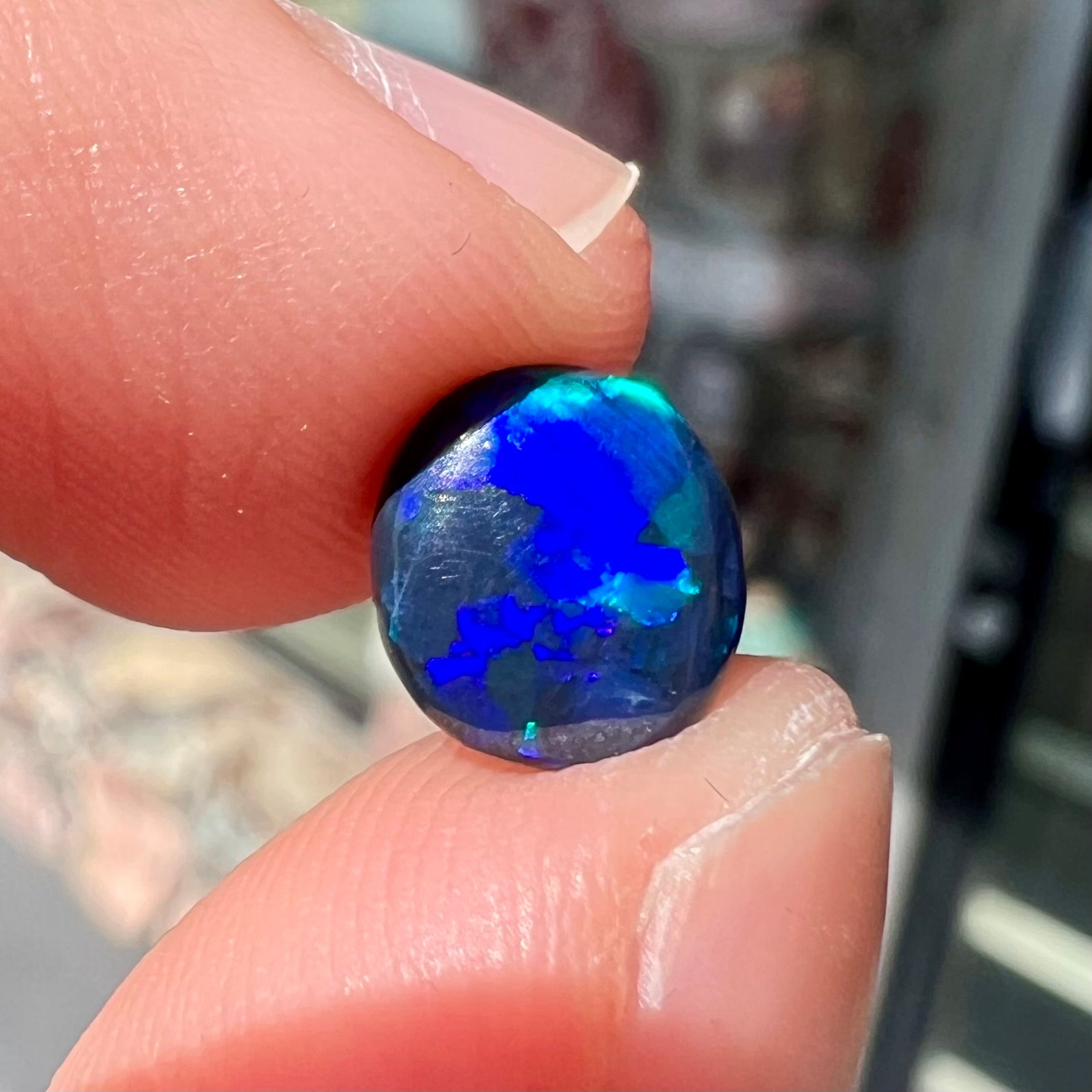 A loose black opal stone from Lightning Ridge, Australia.  The opal shines blue and green colors.