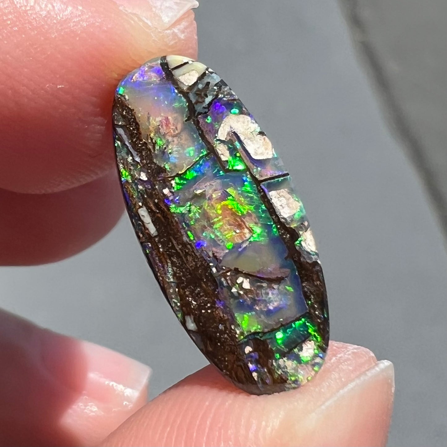 A loose, oval cut boulder opal stone from Koroit, Australia.  The opal shines green and blue colors.