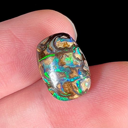 A loose, Koroit boulder opal stone.  The opal plays bright blue and green colors on a patterned matrix.