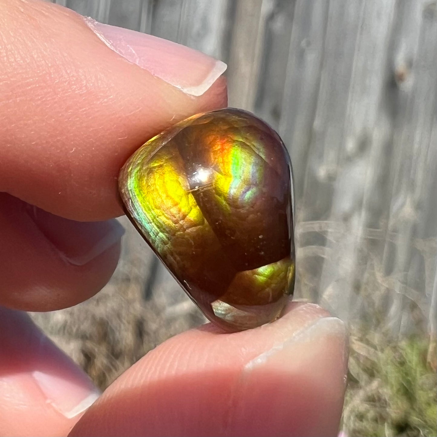 A freeform shaped fire agate cabochon with green and red iridescence.