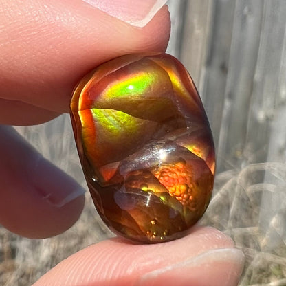 A loose fire agate cabochon.  The stne shows green and orange iridescence on a brown body tone.