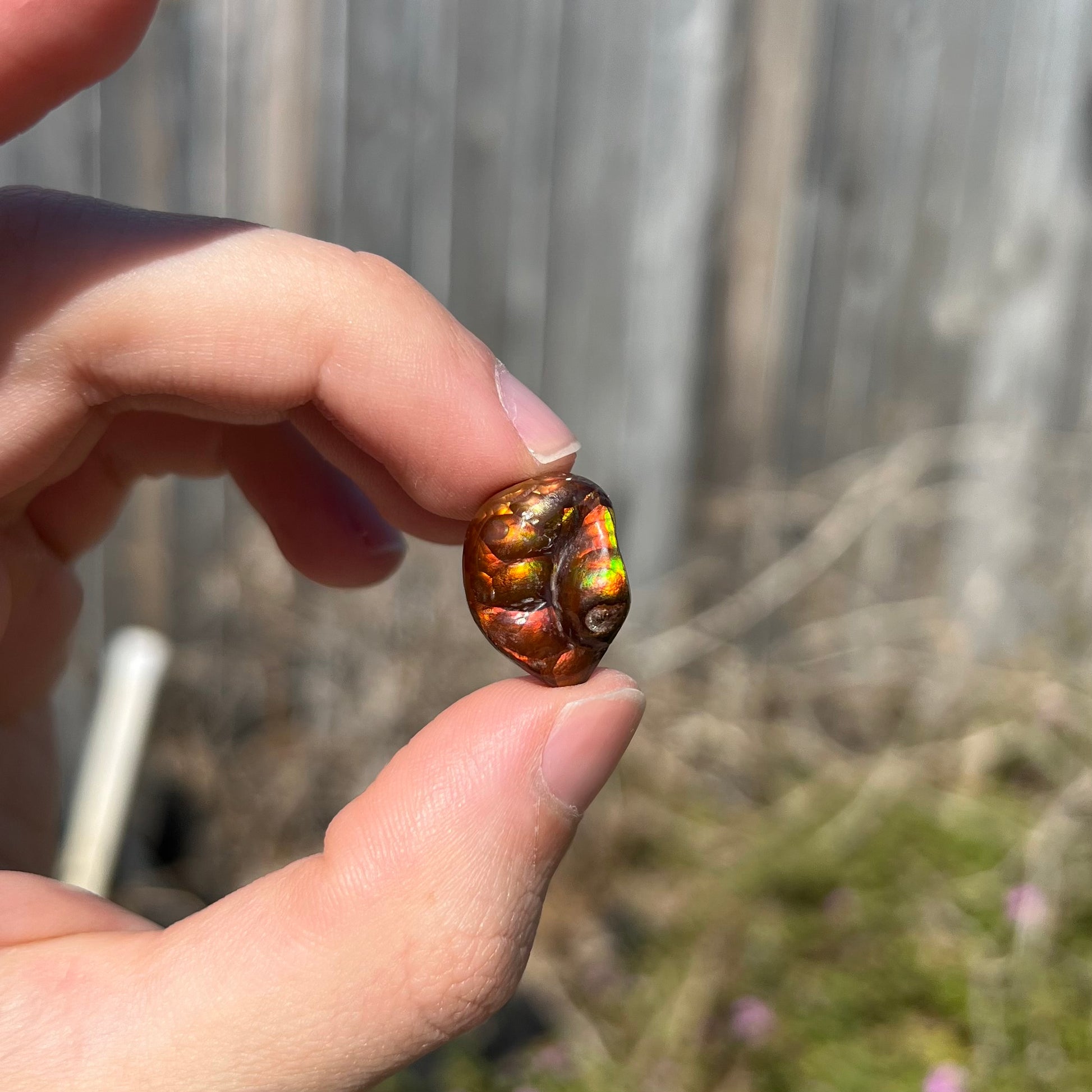 A large Mexican fire agate gemstone.  The stone is red with green iridescence and a waxy luster.