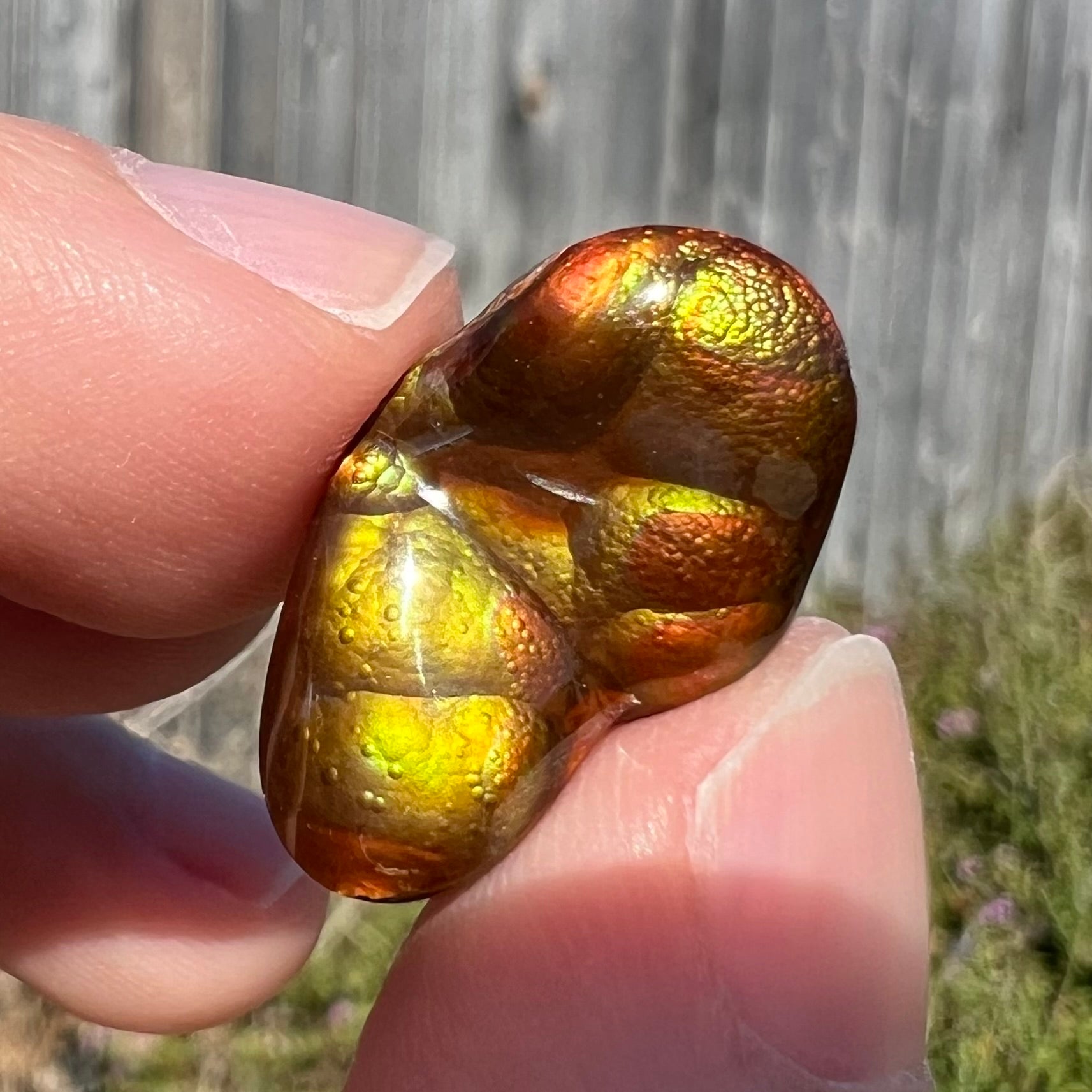 A loose, freeform shaped Mexican fire agate.  The stone has green and orange iridescence.