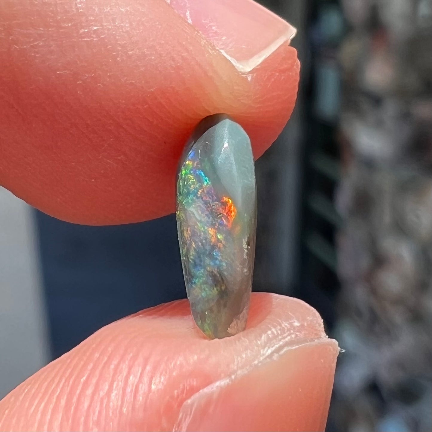 A black opal gemstone from Lightning Ridge, Australia.  The opal is a freeform cut.