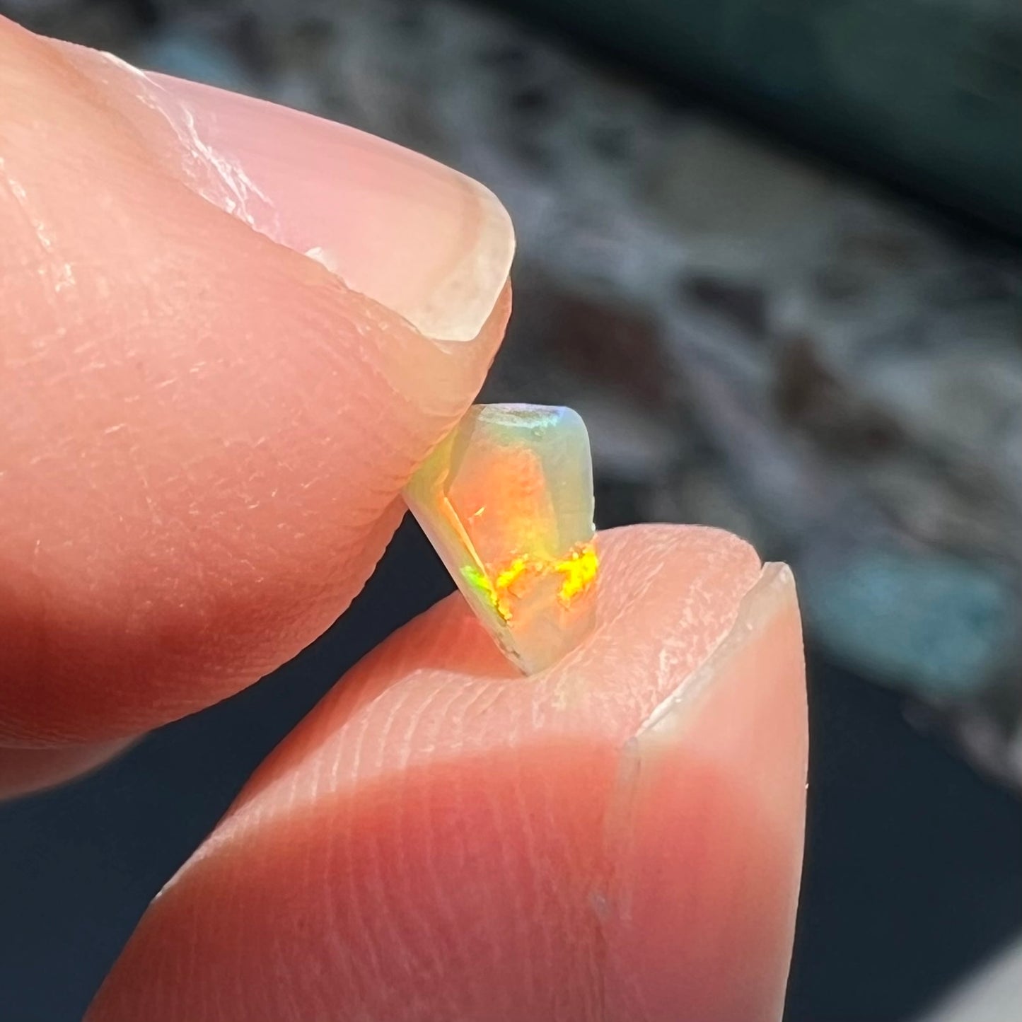 A loose, Australian fire opal chip.  The stone shines red, green, and yellow colors.