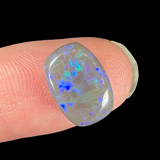 A loose, barrel shaped semi-black opal from Lightning Ridge, Australia.  The opal has blue colors.