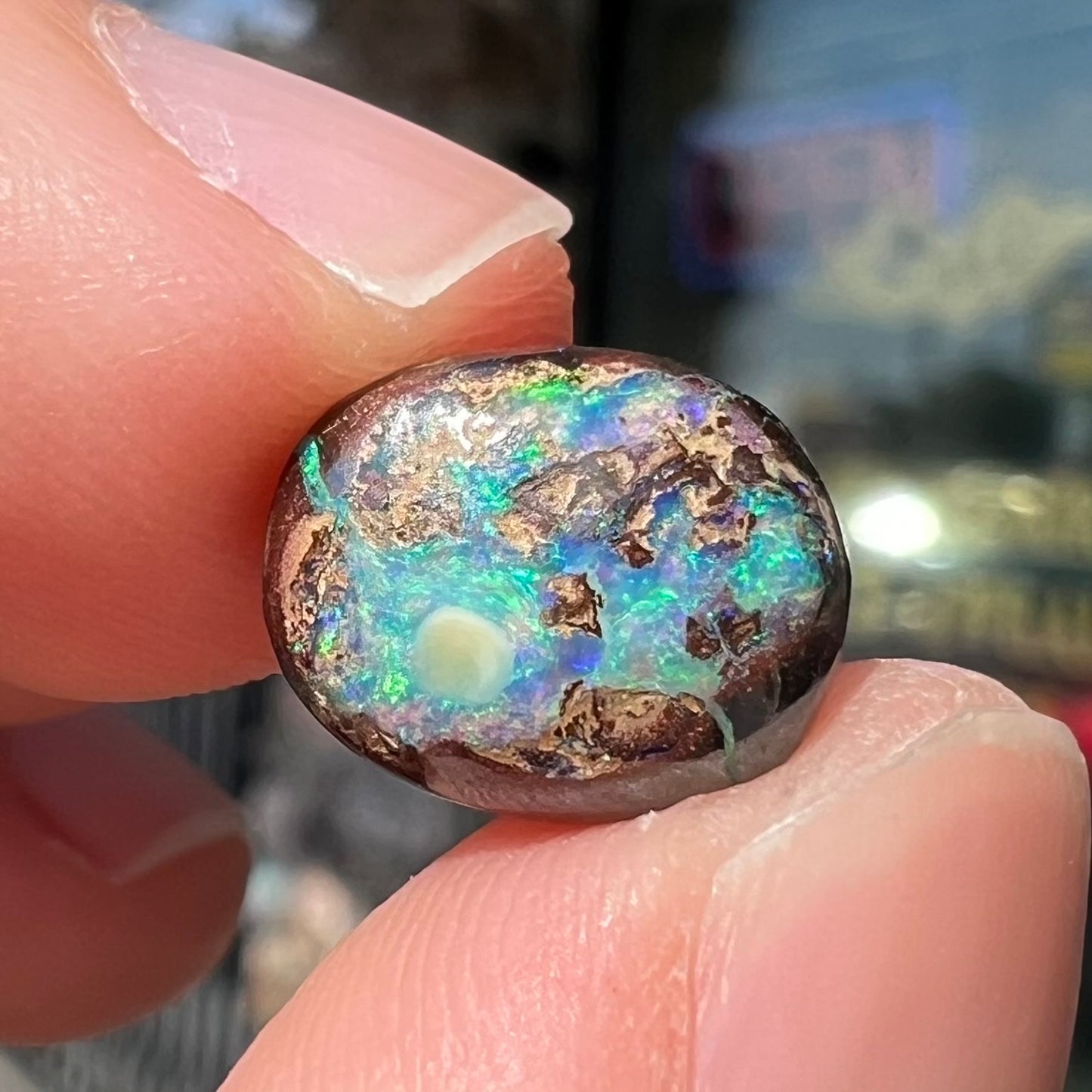 An oval cabochon cut boulder opal stone with green and blue color play.