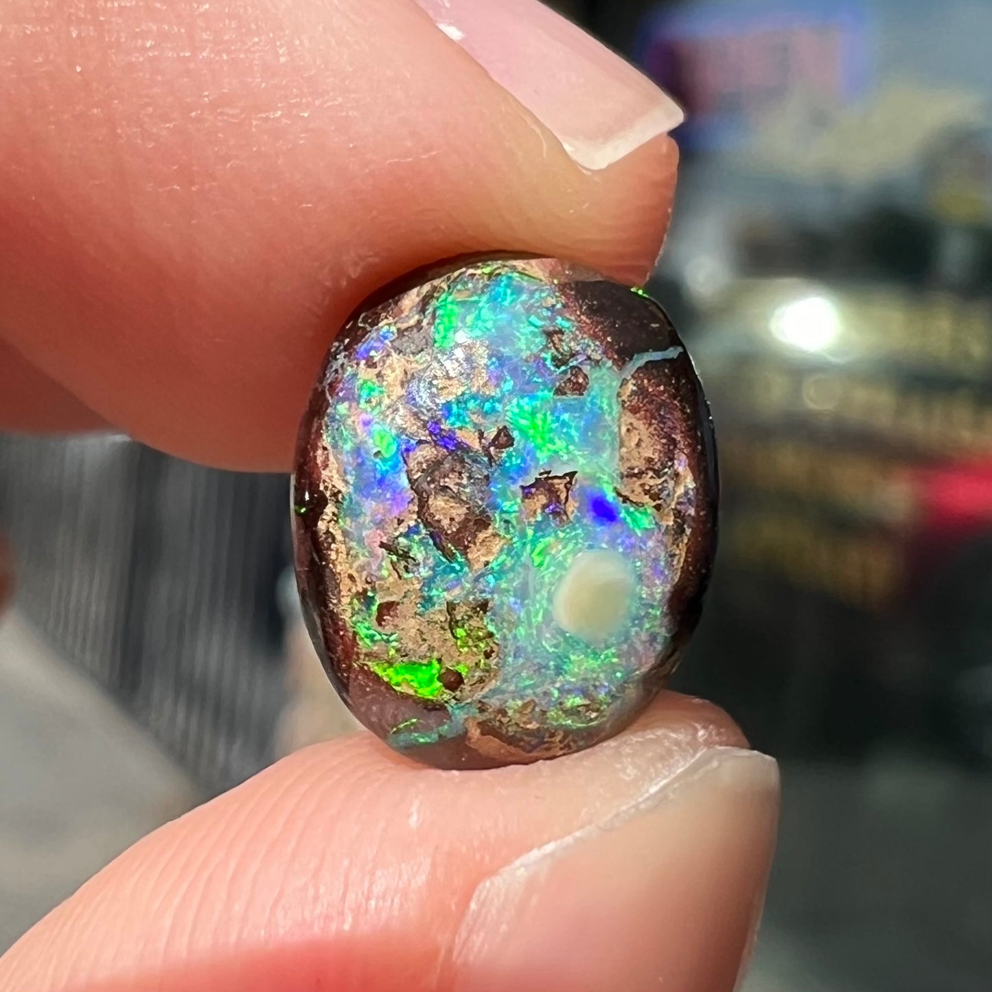 An oval cabochon cut boulder opal stone with green and blue color play.