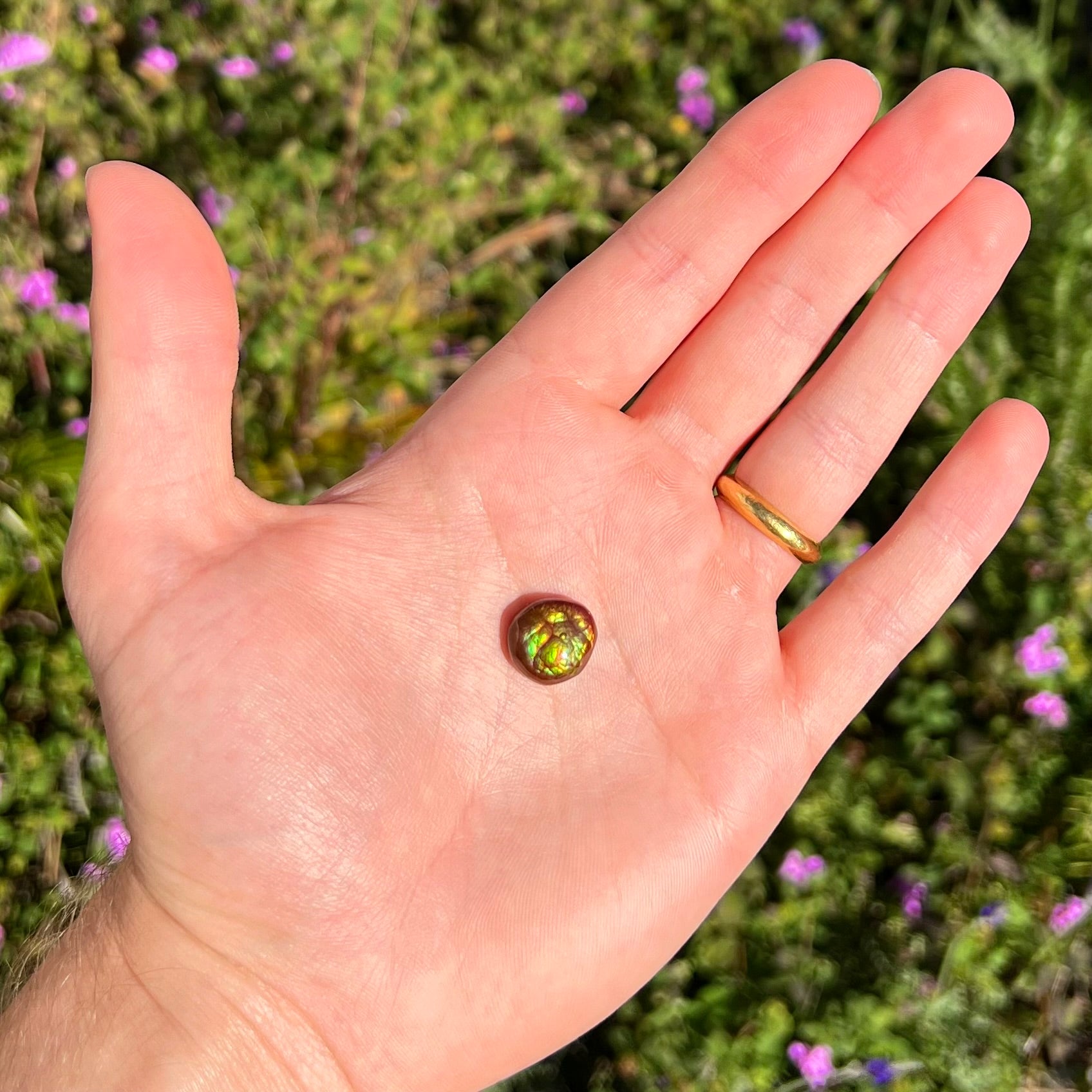 An iridescent green, yellow, and red Mexican fire agate stone.  The stone is an off-round cabochon.