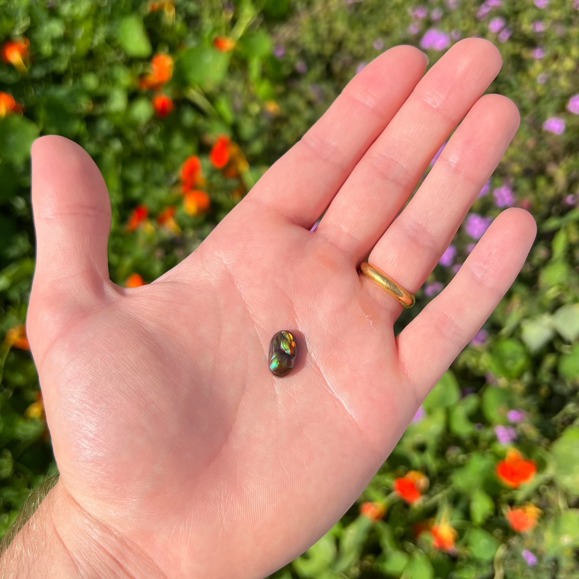 A loose, oval cabochon cut Mexican fire agate stone.  The stone has multi-colored banding with blue overtones.