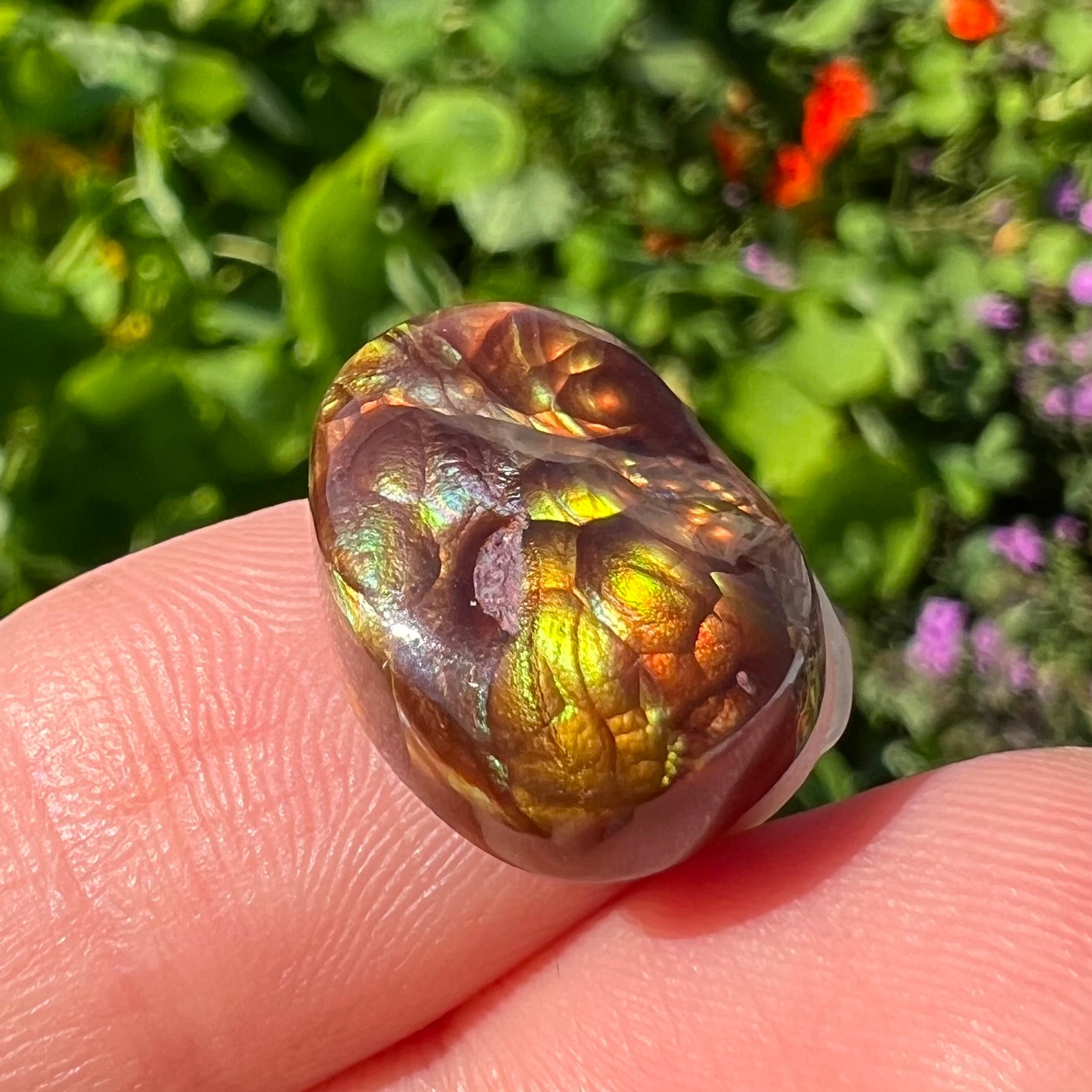 An oval cabochon cut Mexican fire agate stone.  The stone's predominant colors are green, yellow, orange, and blue.