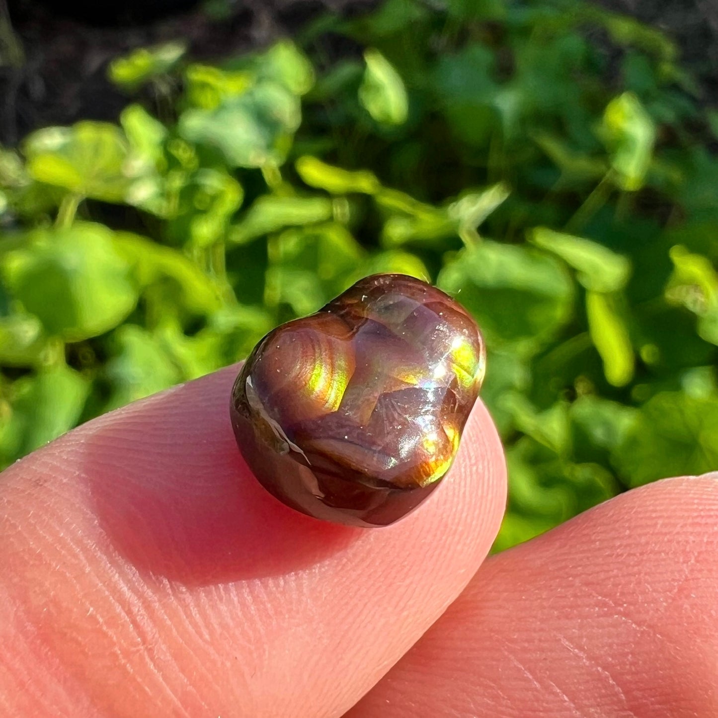 A freeform Mexican fire agate cabochon.  The stone shines with bands of green, red, orange, blue, and purple.