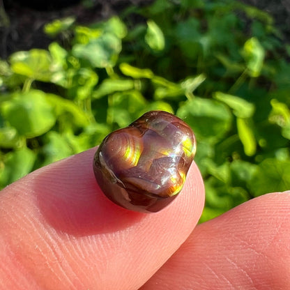 A freeform Mexican fire agate cabochon.  The stone shines with bands of green, red, orange, blue, and purple.