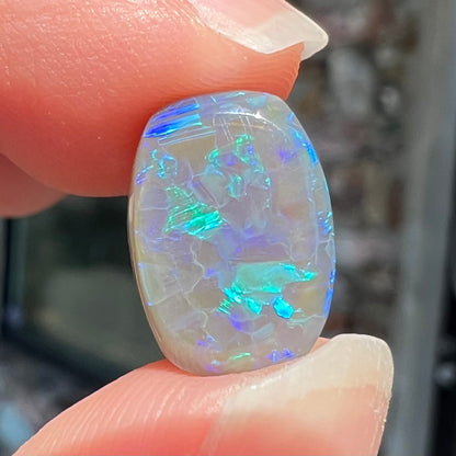 A loose, barrel shaped semi-black opal from Lightning Ridge, Australia.  The opal has blue colors.