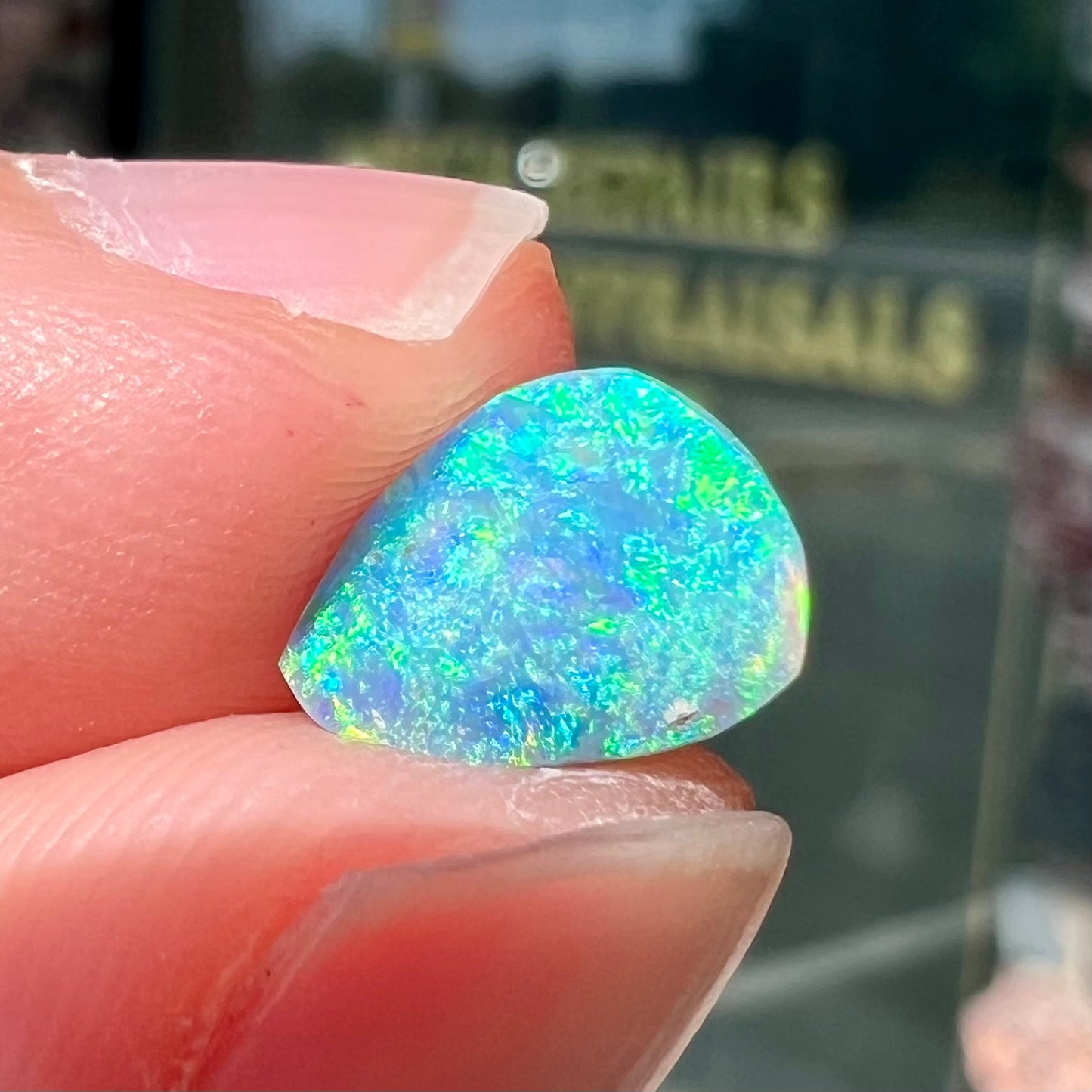 A loose, pear shaped black opal from LIghtning Ridge, Australia.  The opal shines blue and green colors.