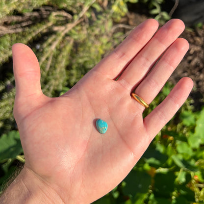 A loose, freeform cut Pilot Mountain turquoise cabochon.  The stone is greenish blue.