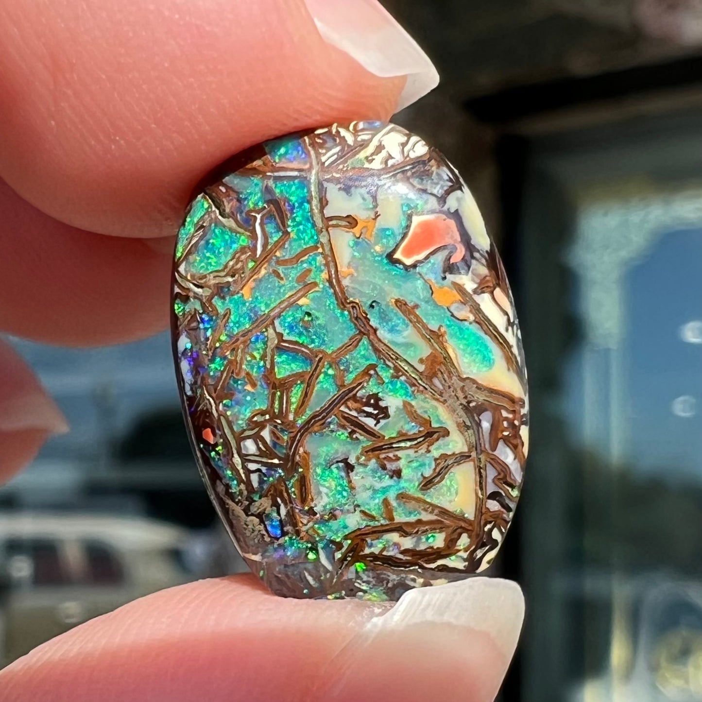 A barrel shaped boulder matrix opal from Koroit, Australia.  The opal has blue fire.