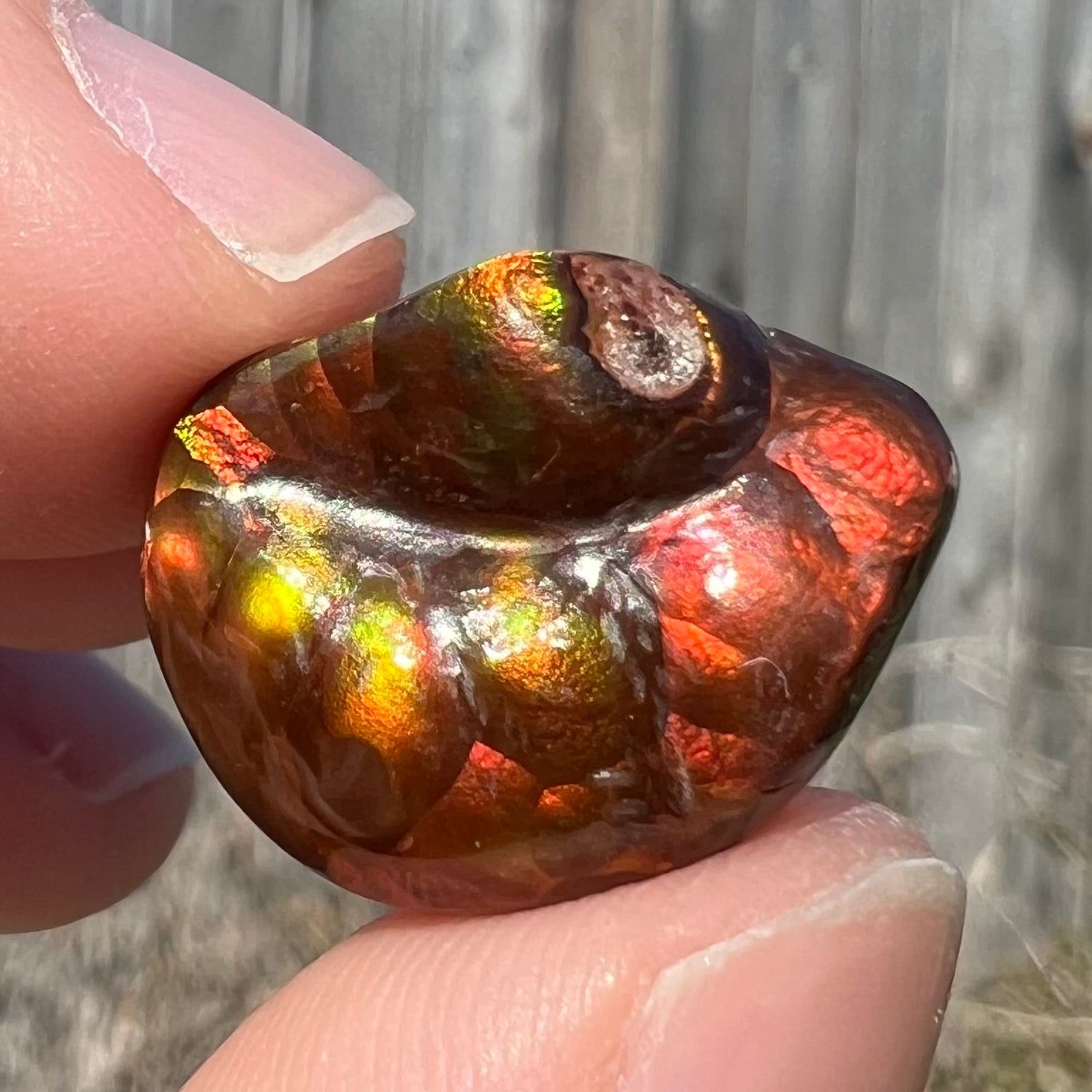 A large Mexican fire agate gemstone.  The stone is red with green iridescence and a waxy luster.