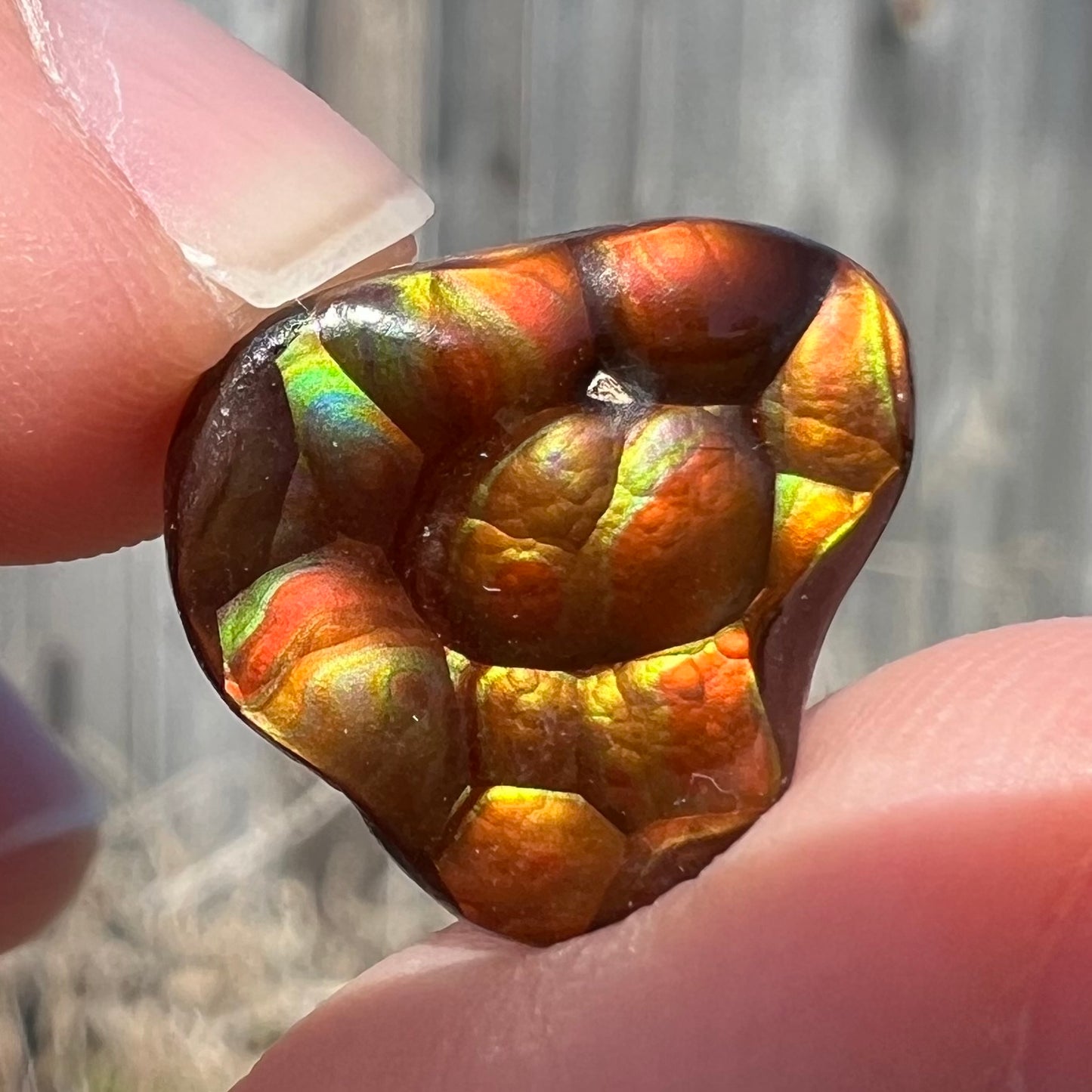 A freeform shaped Mexican fire agate stone.  The stone is red with yellow banding.