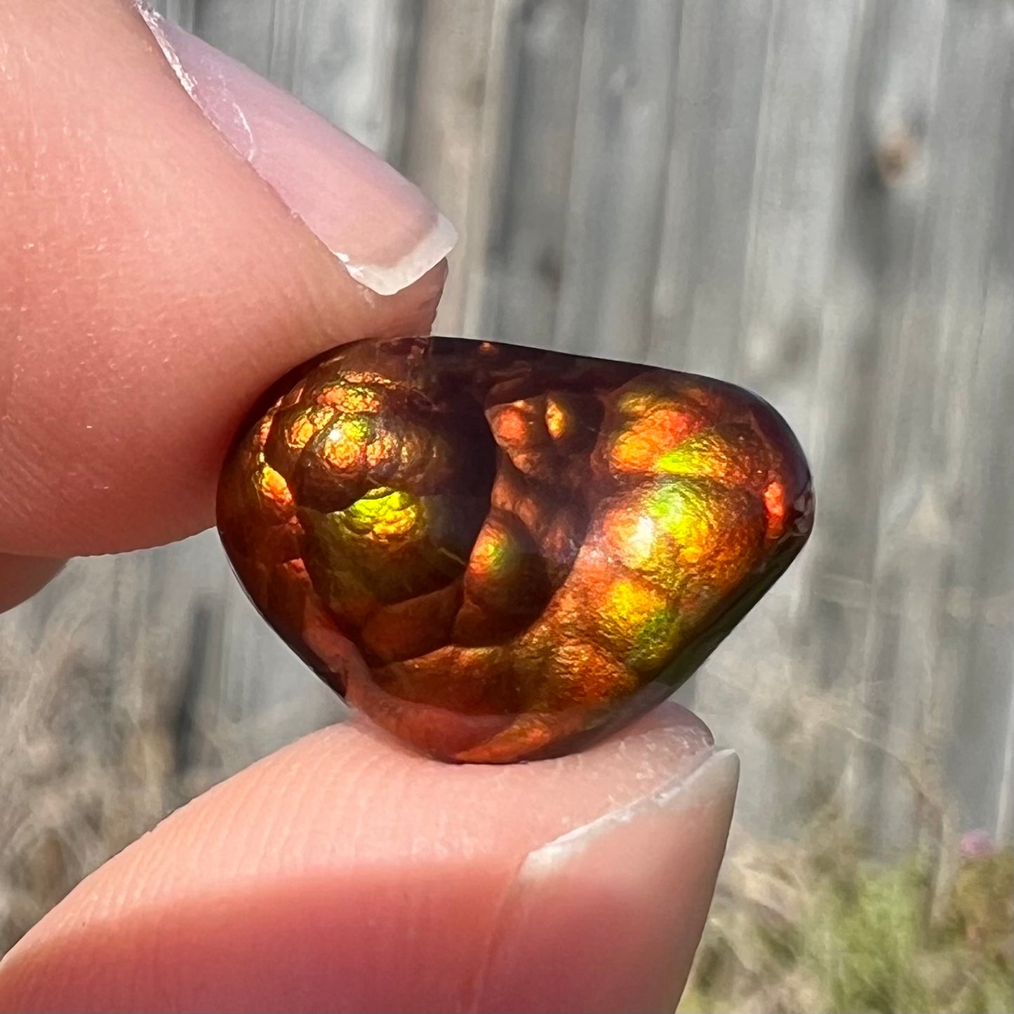 A loose, freeform fire agate gemstone.  The stone is red with green and orange iridescence.