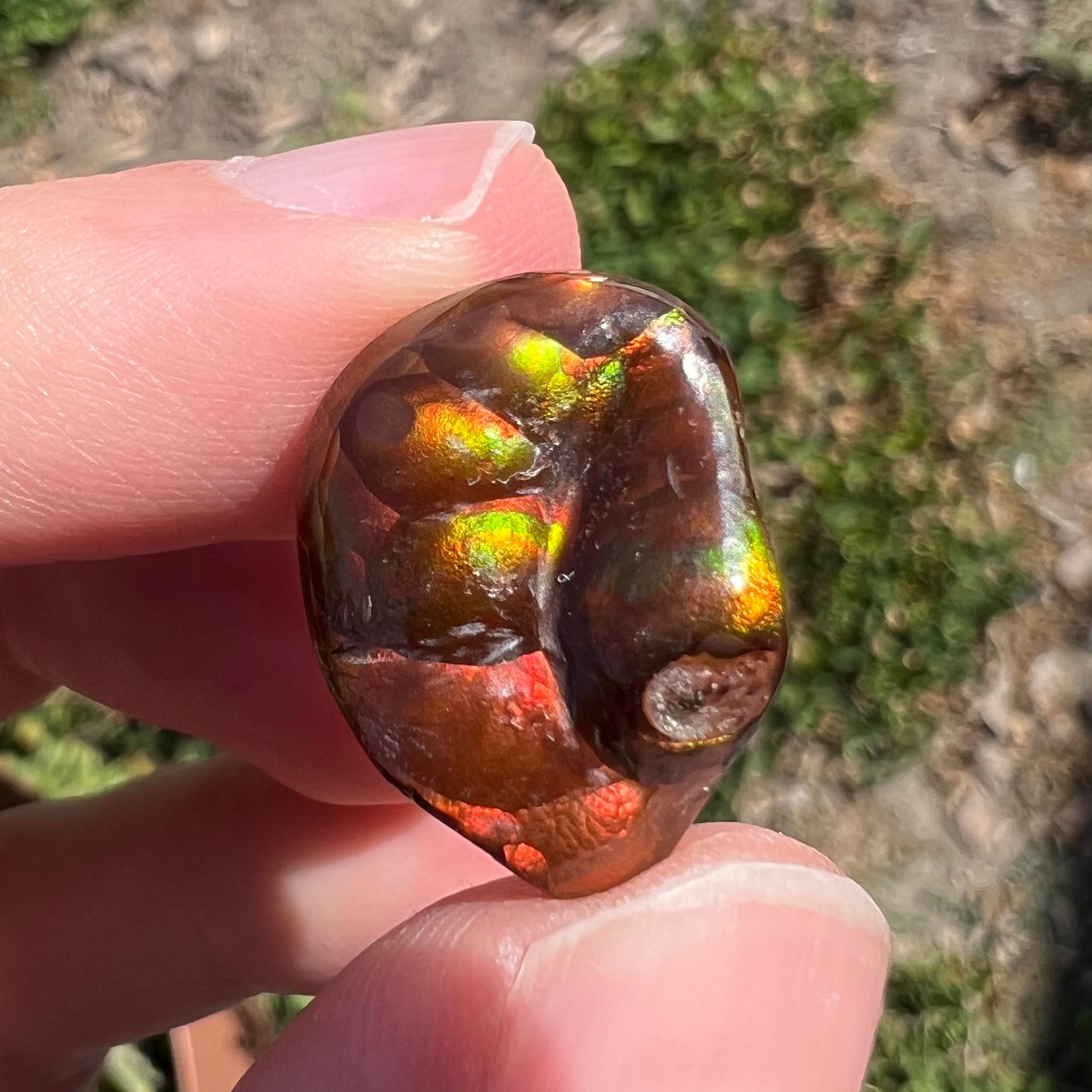 A large Mexican fire agate gemstone.  The stone is red with green iridescence and a waxy luster.