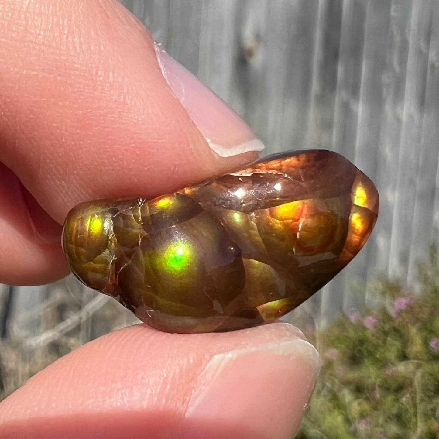 A loose, freeform shaped fire agate stone.  The fire agate has red, orange, and yellow colors on one side, and the other has green and blue colors.