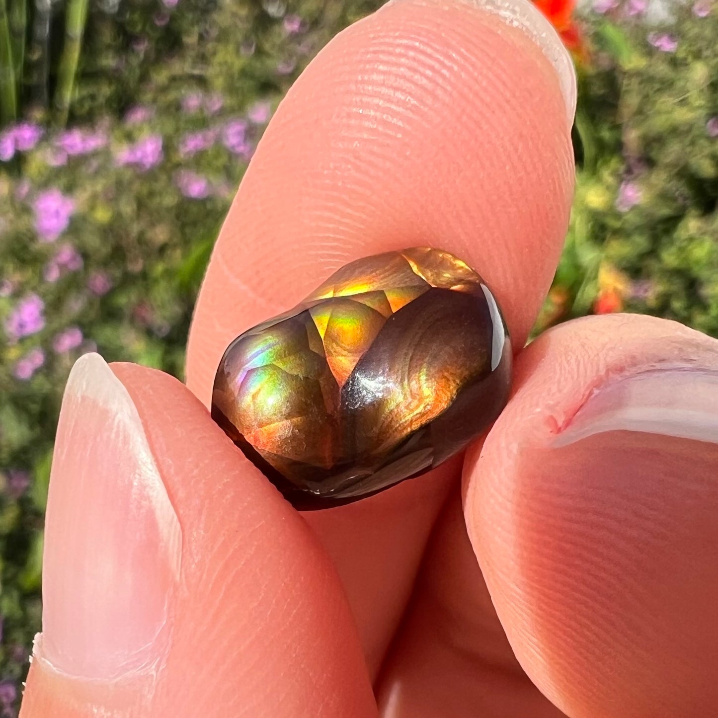 A loose, freefrom cabochon cut Mexican fire agate stone.  The stone has red, green, yellow, and purple banding.