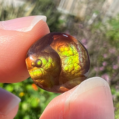 A loose, round Mexican fire agate stone.  The stone shines colors of green, yellow, and orange.