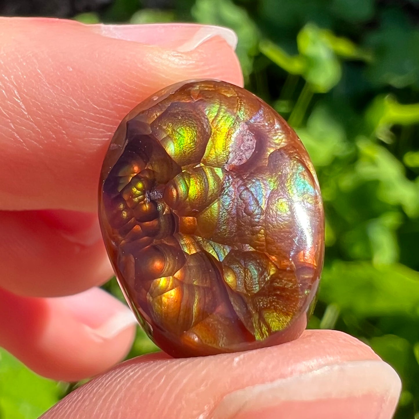 An oval cabochon cut Mexican fire agate stone.  The stone's predominant colors are green, yellow, orange, and blue.